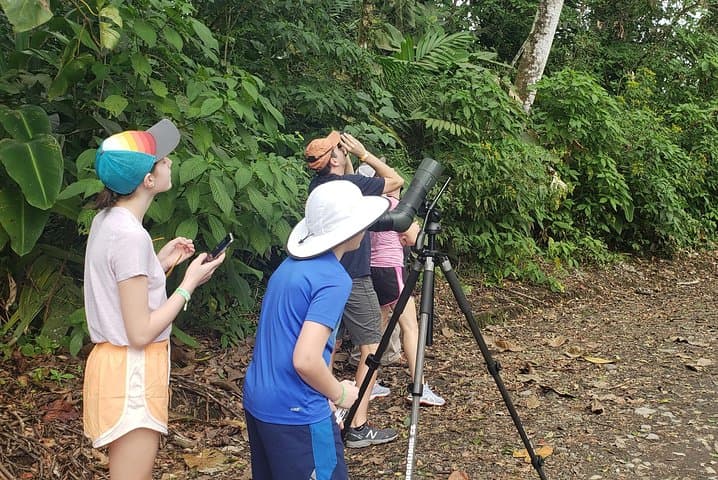 Rio Celeste Waterfall Hike and River Swim — Tenorio Volcano National Park photo 6