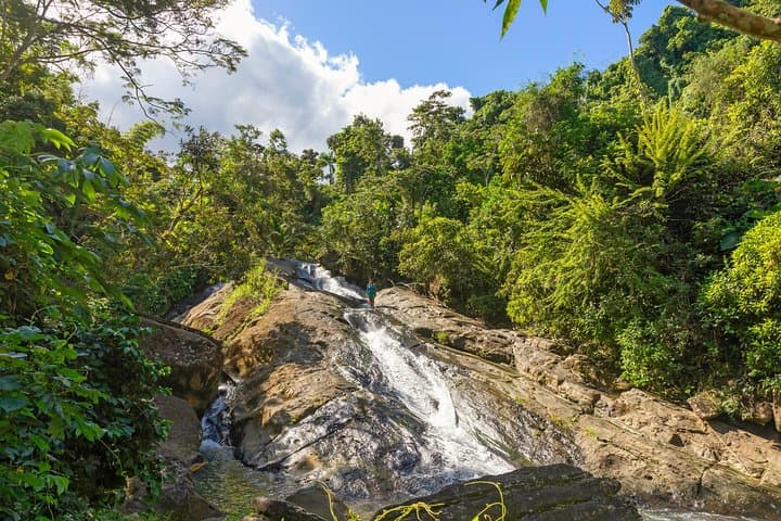 Yunque Rainforest Outskirts: River Rope Swing, Natural Waterslides & Luquillo Beach Adventure photo 6