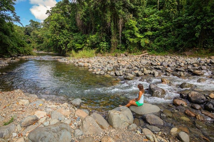Yunque Rainforest Outskirts: River Rope Swing, Natural Waterslides & Luquillo Beach Adventure photo 3