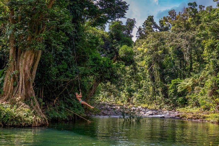 Yunque Rainforest Outskirts: River Rope Swing, Natural Waterslides & Luquillo Beach Adventure photo 4