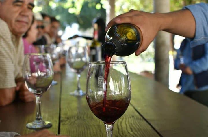 Valle de Guadalupe Wine Country Day Trip from San Diego: Tasting Tour and Local Eats