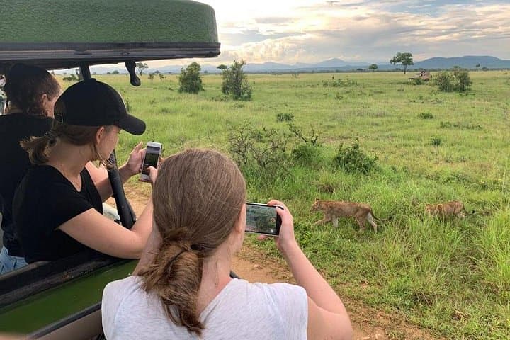 One-Day Safari to Mikumi National Park from Dar es Salaam photo 3