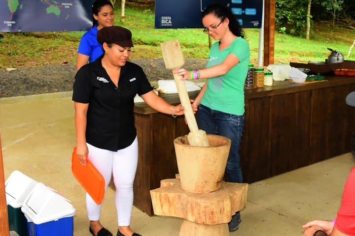 Chocolate Experience at Vista Los Sueños: Cocoa Farm Tour near Jaco photo 2