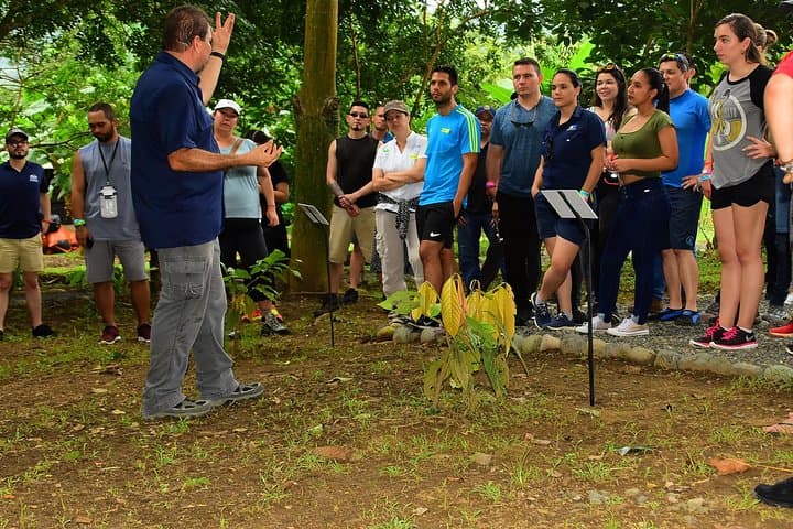 Chocolate Experience at Vista Los Sueños: Cocoa Farm Tour near Jaco photo 5