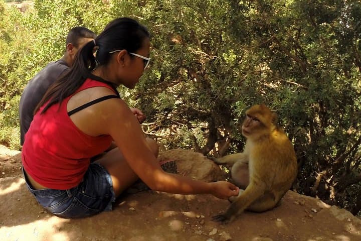 Full-Day Ouzoud Waterfalls Trip from Marrakech: Hike, Boat Ride & Berber Lunch photo 6