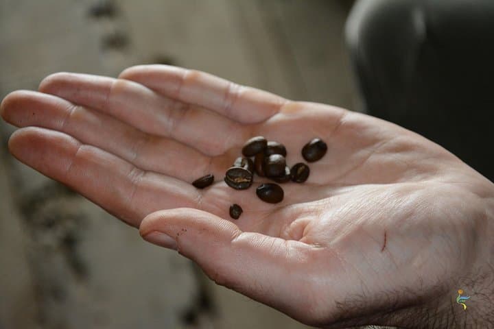 Coffee Farm Day Trip from Bogotá: Hands-On Cundinamarca Plantation Experience photo 6