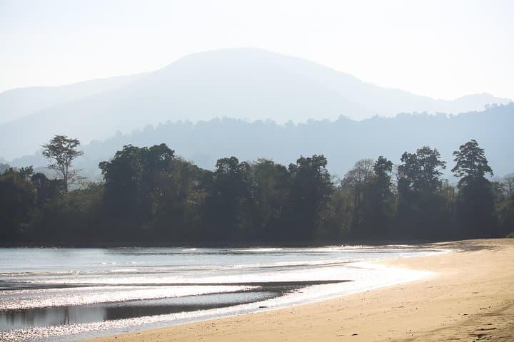 Saddle Peak Hike in Diglipur — Summit the Andaman Islands' Highest Peak