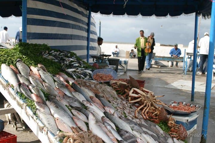 Essaouira Day Trip from Marrakech: Port Walks, Argan Trees & Atlantic Calm