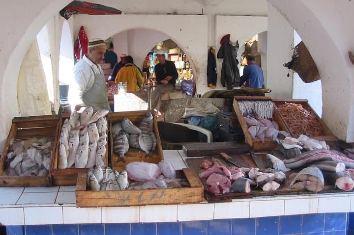 Essaouira Day Trip from Marrakech: Port Walks, Argan Trees & Atlantic Calm photo 2