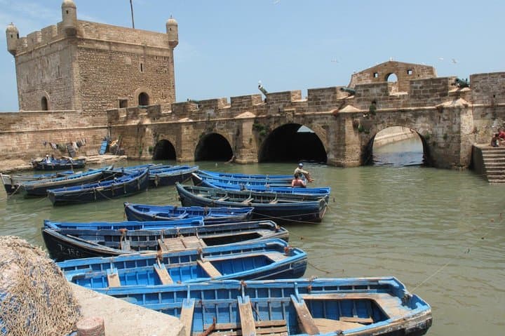 Essaouira Day Trip from Marrakech: Port Walks, Argan Trees & Atlantic Calm photo 6