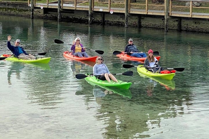 Crystal River Full-Day Kayak Rental & Manatee Viewing Guide photo 6