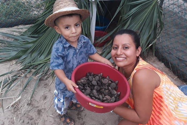 Escobilla Baby Turtle Release from Huatulco — Evening Olive Ridley Experience photo 3