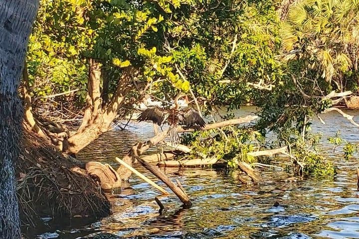 Laguna de Ventanilla Crocs and Turtle Aquarium Tour from Huatulco photo 4