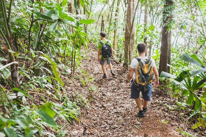 2-Day Authentic Jungle Trek in North Thailand From Chiang Mai photo 3