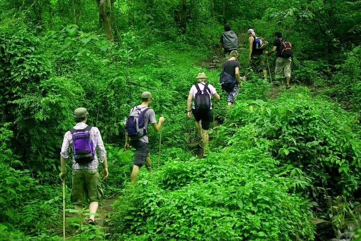 2-Day Authentic Jungle Trek in North Thailand From Chiang Mai