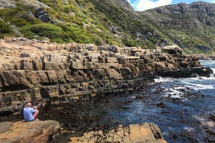 Cape Peninsula Coastal Safari with a Marine Biologist photo 4