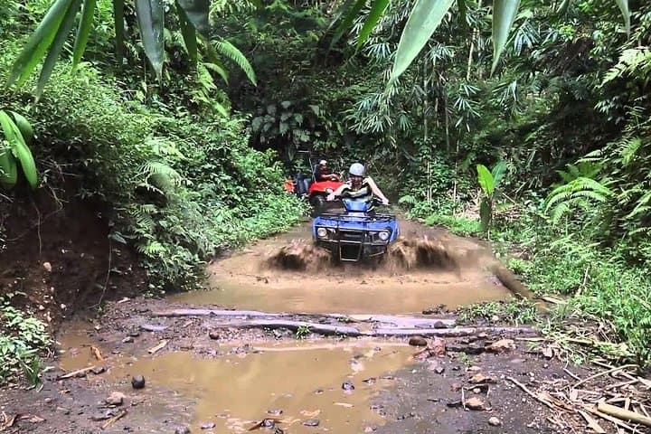 Ubud Quad Bike Adventure: 250cc ATV Ride Through Rice Fields & Coffee Plantations photo 3