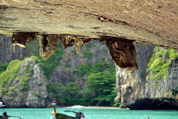 Private Speedboat Charter to Phi Phi Islands — Fully Customizable Day Trip photo 3