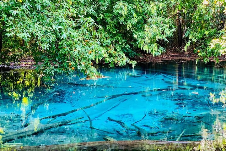 Krabi Jungle Tour: Emerald Pool, Hot Springs & Tiger Cave Temple Full-Day photo 2