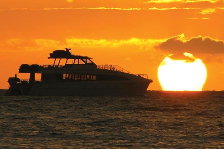 Mission Bay Dolphin Watch Sunset Cruise on the Legacy — San Diego photo 1