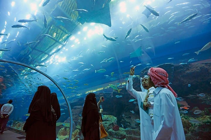 Dubai Aquarium & Penguin Cove — Inside Dubai Mall’s Underwater World photo 5