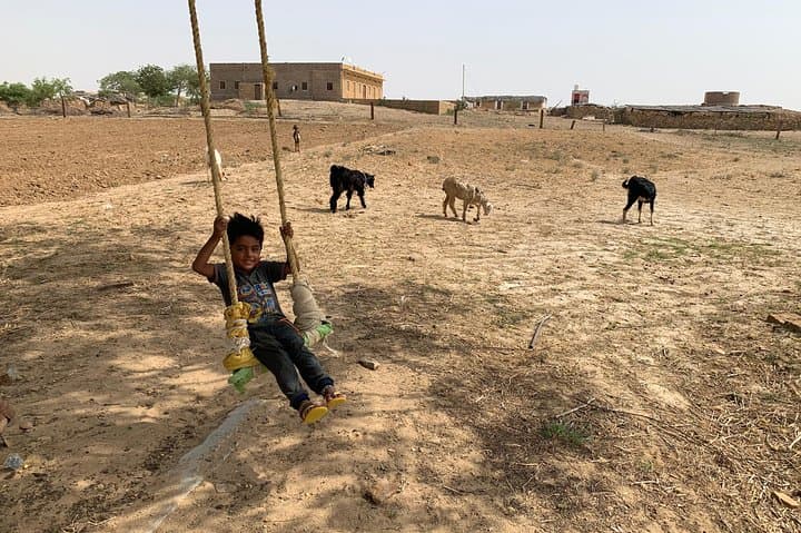 Private Jaisalmer Rural Farm Tour: Hands-On Desert Farm Experience photo 3