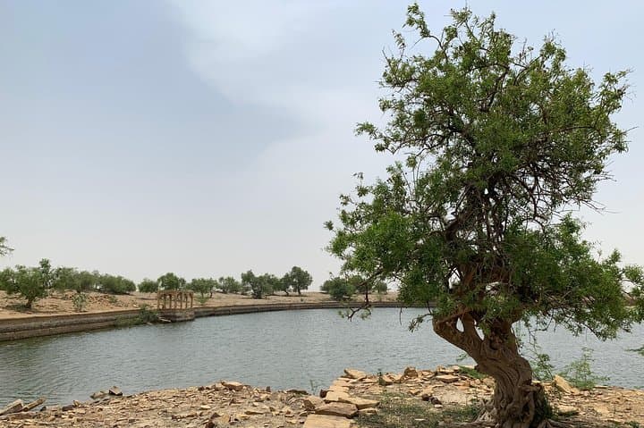 Private Jaisalmer Rural Farm Tour: Hands-On Desert Farm Experience photo 5