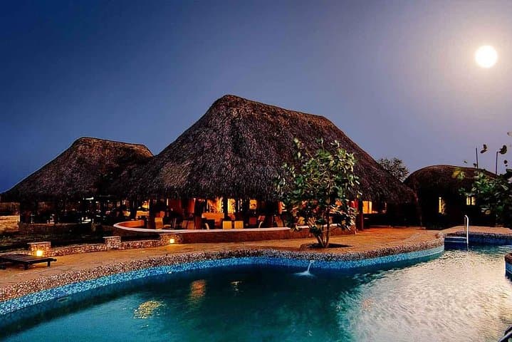 3-Day Samburu Safari: Northern Kenya Game Drives & Wildlife Encounters photo 3