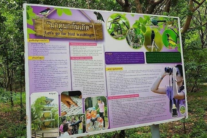 Bangkok Green Lung Bicycle Ride: Explore Bang Krachao’s Jungle Trails and Riverside Lunch photo 3