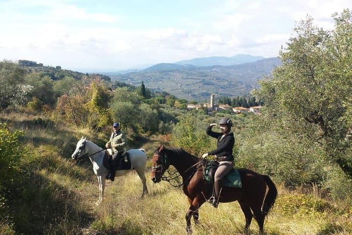 Chianti Horseback Ride and Olive Oil Tasting from Florence photo 2