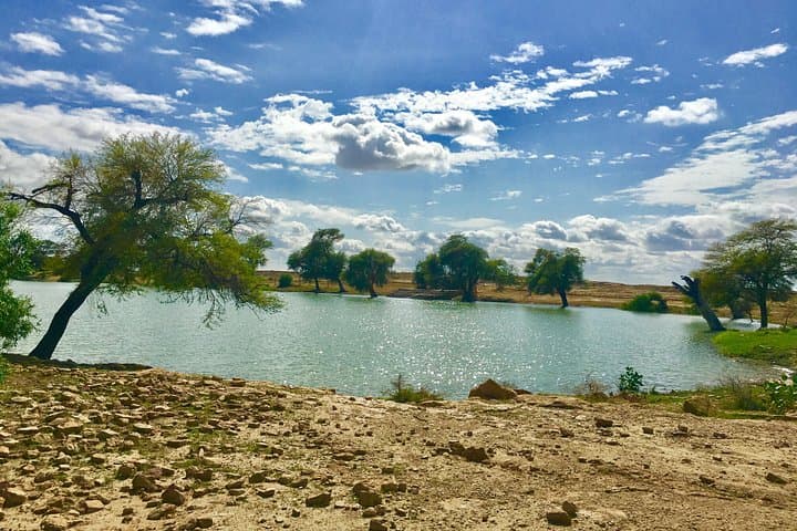 Overnight Thar Desert Camel Safari from Jaisalmer — Starry Camp, Village Visits & Sunrise Rides photo 3