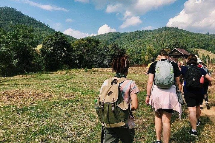 3-Day Mae Wang Jungle Trekking Adventure from Chiang Mai photo 3
