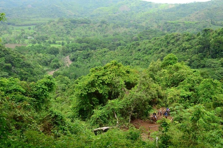 Horseback and Waterfalls Adventure in Jaco: Private Rainforest Ride to Natural Pools photo 3