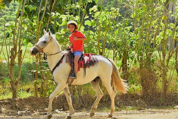 Horseback and Waterfalls Adventure in Jaco: Private Rainforest Ride to Natural Pools photo 4
