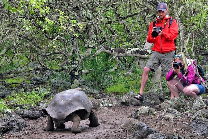 San Cristobal Island 4-Day Galapagos Adventure: Snorkel Sea Lions & Hike Laguna El Junco