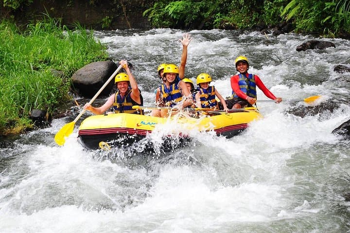 Telaga Waja River Rafting Bali — Rapids, Rice Fields & Besakih Views photo 6