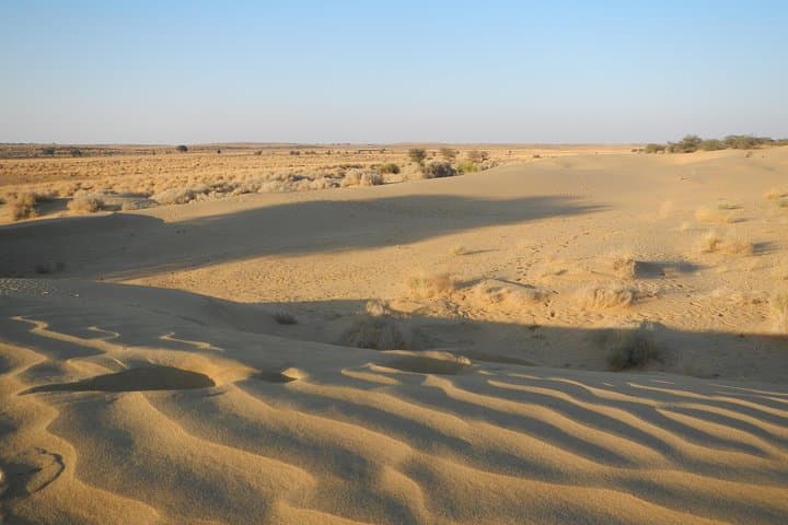 Sunset Camel Safari & Dune Dinner — Jaisalmer Thar Desert Experience photo 3