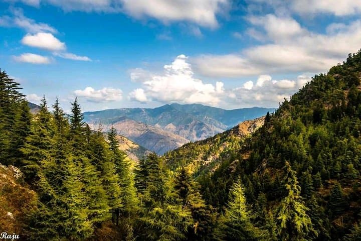 Top Tibba Day Hike: 8,500 ft Panoramic Trek Near Mussoorie photo 3