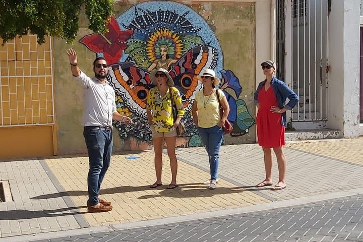 San Nicolas Mural Tour & Art Ride — The Whole Story of Aruba Street Art photo 5