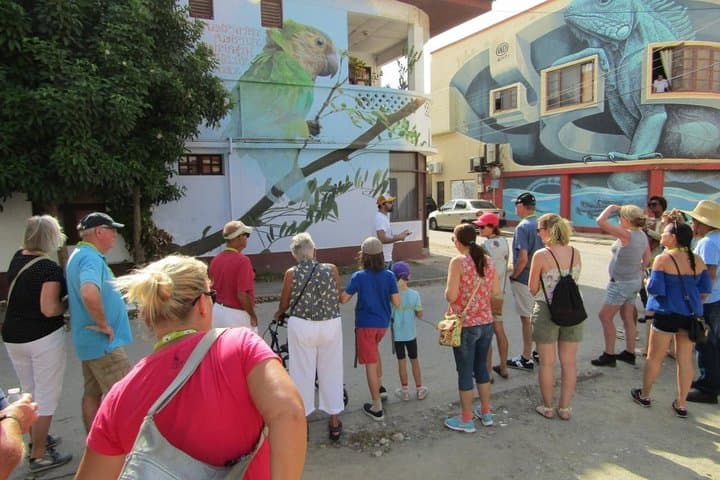 San Nicolas Mural Tour & Art Ride — The Whole Story of Aruba Street Art photo 2