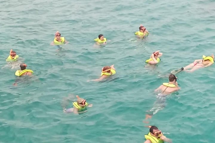 Private Catamaran Snorkel Charter from Falmouth, Jamaica — Half-Day Sail & Dunn's River Stop photo 4