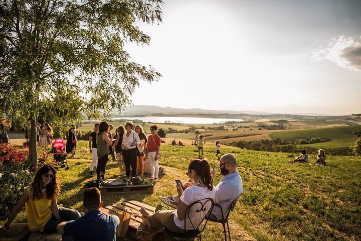 Premium Wine Tasting & Vineyard Tour in Umbria's Trasimeno Hills