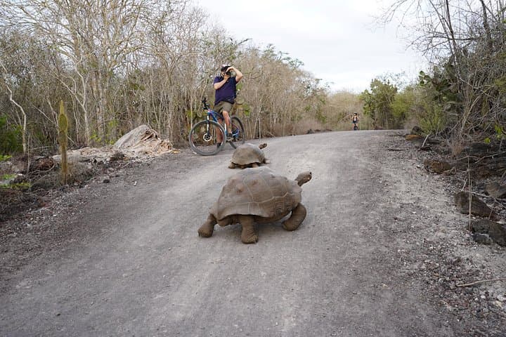 Active Galapagos Island Tour: 10-Day Adventure Through Volcanic Wildlife and Marine Wonders photo 2