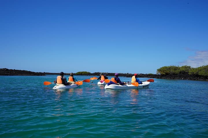 Active Galapagos Island Tour: 10-Day Adventure Through Volcanic Wildlife and Marine Wonders photo 4