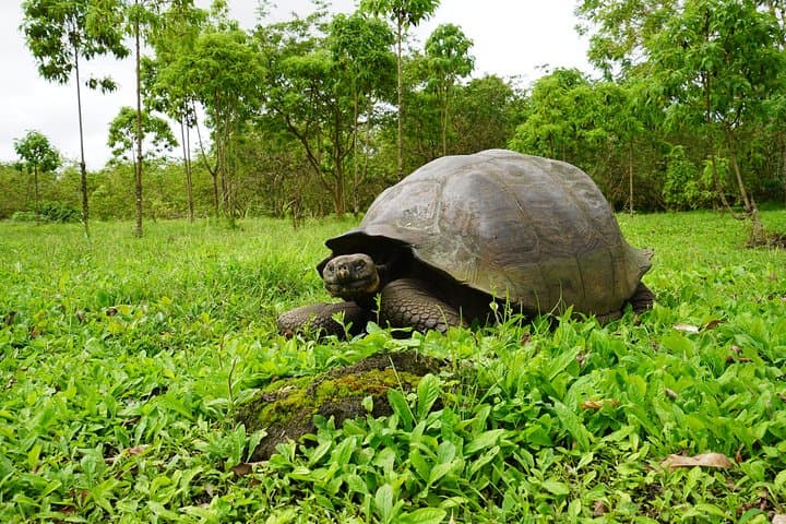 Active Galapagos Island Tour: 10-Day Adventure Through Volcanic Wildlife and Marine Wonders photo 5