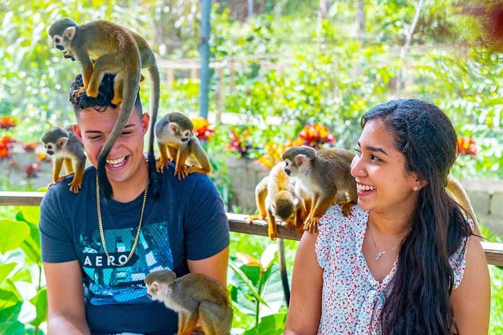 Monkeyland Puerto Plata: Up-Close Squirrel Monkey Experience Near Cabarete