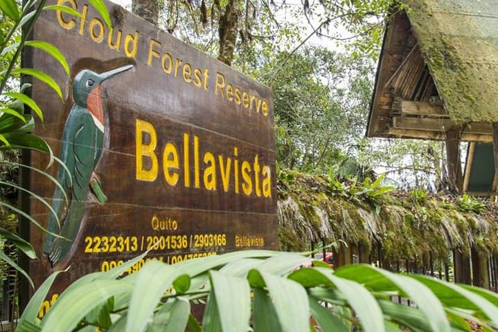 Bellavista Cloud Forest Reserve: 3-Day Lodge Retreat & Birdwatching Near Quito photo 1
