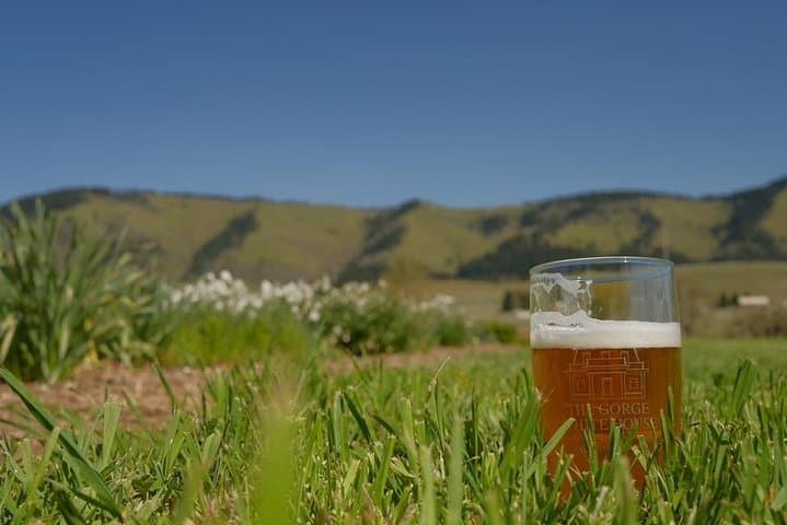 Tasting the Columbia River Gorge by E-Bike: Wine, Beer & Scenic Slow Roll photo 4