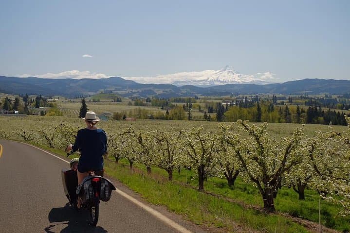 Tasting the Columbia River Gorge by E-Bike: Wine, Beer & Scenic Slow Roll photo 5