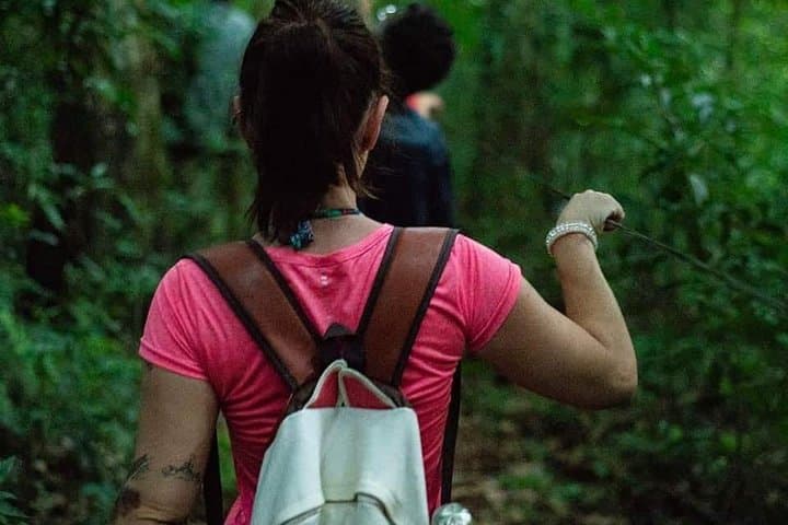 Secret Waterfalls Hike in Foz do Iguaçu — Half-Day Morning Trek photo 3